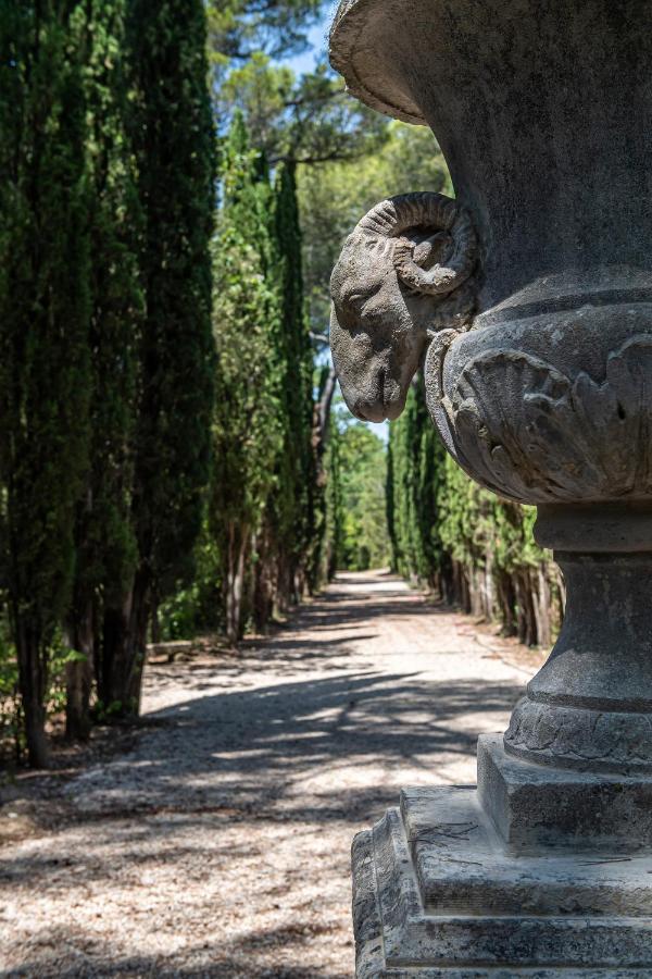 Hotel Chateau Martinay Carpentras Zewnętrze zdjęcie