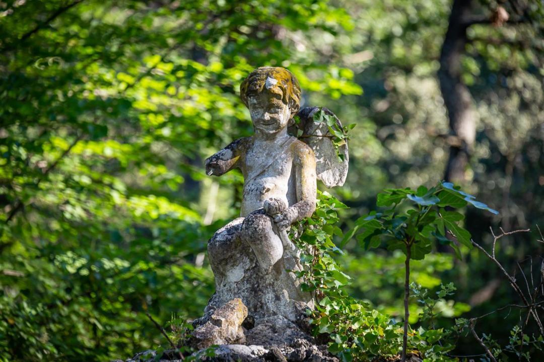 Hotel Chateau Martinay Carpentras Zewnętrze zdjęcie